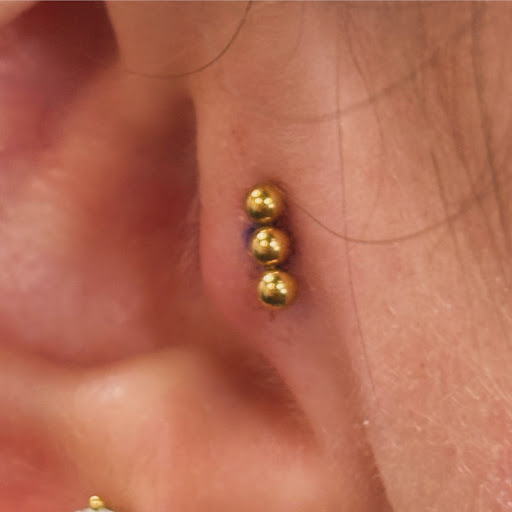 Prestige Piercings Gallery - United Kingdom