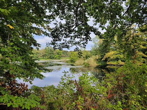 Kupferteich - Visual