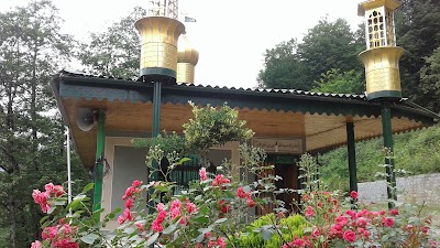 Photos of Shrine of Ali Web Sh.