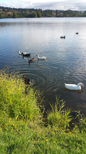 Hampton Park - Visual