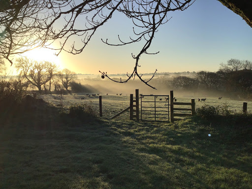 Tally Ho Camping and Glamping Gallery - United Kingdom