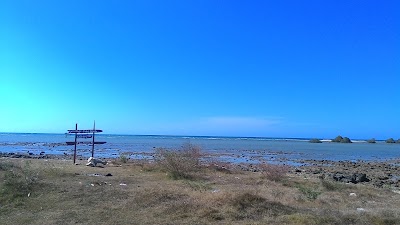 Photos of Labuhan education mangrove