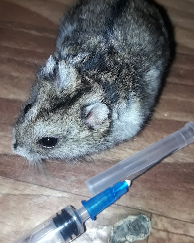 Photos of Vet Klinika Zoolyuks