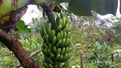 Photos of Dong Hua Sao National Bio-Diversity Conservation Area