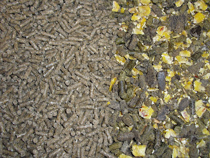 Photo n°2 de Aliment Bétail Limousin SAS - ABL à Saint-Léger-Bridereix (Magasin d'alimentation animale)