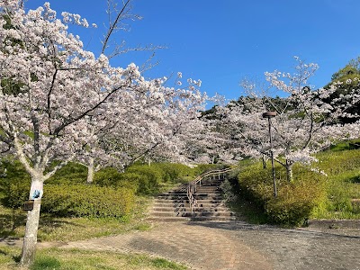 大池公園