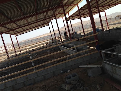Photos of Ezbet bin Alian