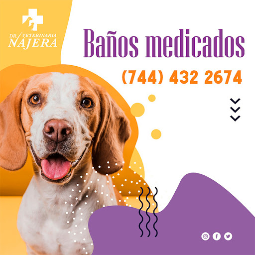 Veterinaria Dr. Nájera