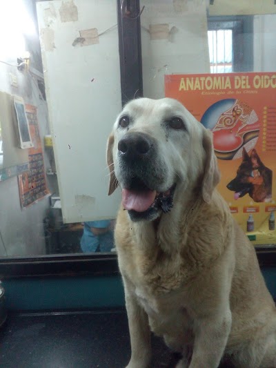 Photos of Veterinaria Ezeiza