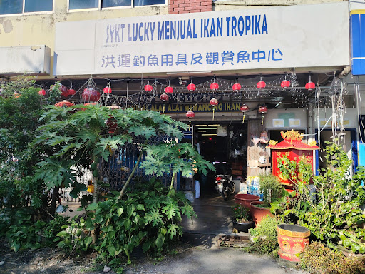 Lucky Tropical Fish Centre（永平洪运鱼店）