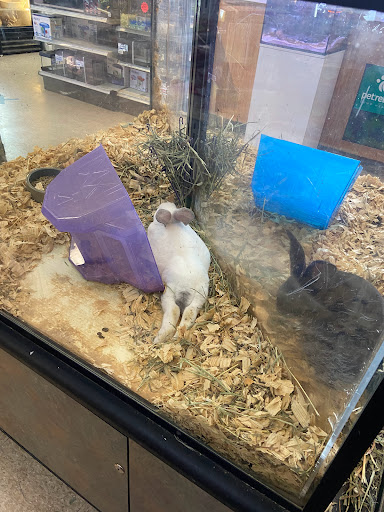 Fin & Feather Pet Center, Inc. - Thumbnail