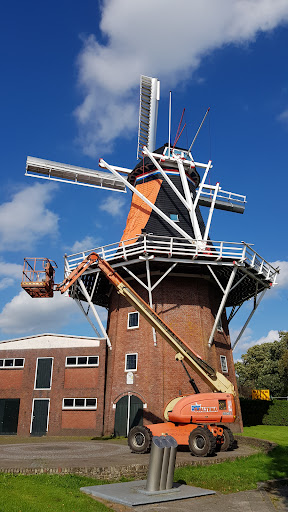 The Lion Gallery - Netherlands