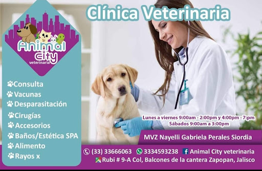 Animal City Veterinaria - Thumbnail