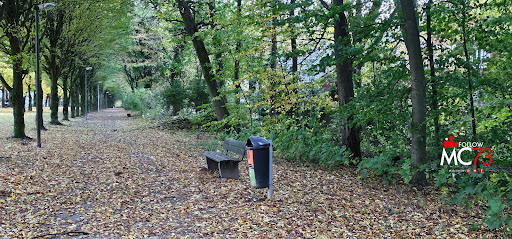 KunstPfad: Frame - Thumbnail