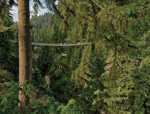 Tourism Burnaby Gallery - Canada