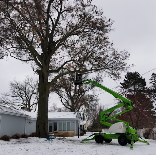 Pioneer Tree Service