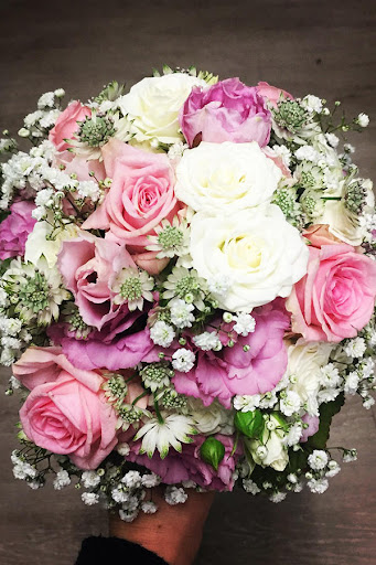 Fleur Holland Blumen - Visual