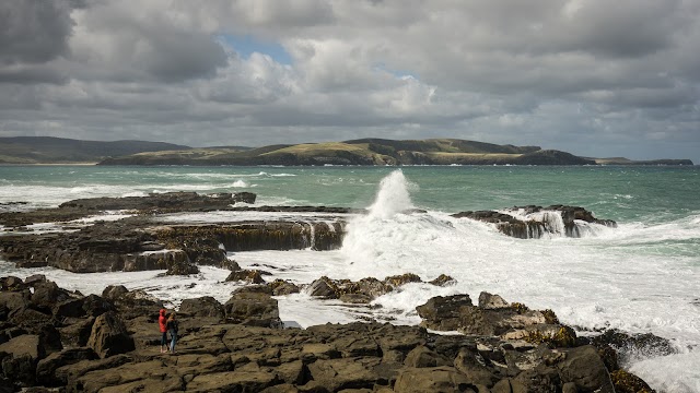 Curio Bay Cliffs