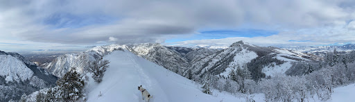 Snowbasin - Visual