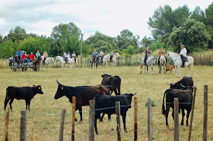Photo n°35 de Manade Vitou à Restinclières (Ferme à visiter)