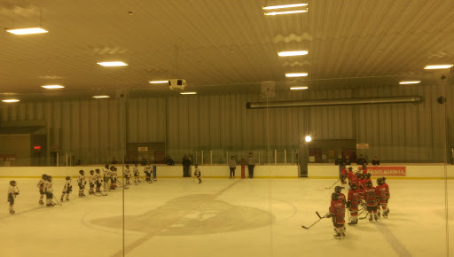 Cavanagh Sensplex - Visual