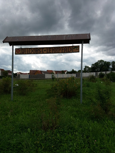 Wildobst-Lehrpfad - Thumbnail