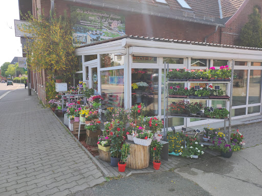 Blumengeschäft Sonnenblume