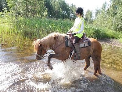 Photos of Luonto-Taipale