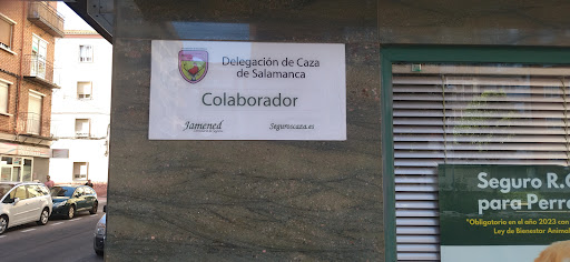 Jamened Correduría de Seguros Gallery - Spain