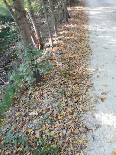 Sentieri Natura San Zenone degli Ezzelini - Thumbnail