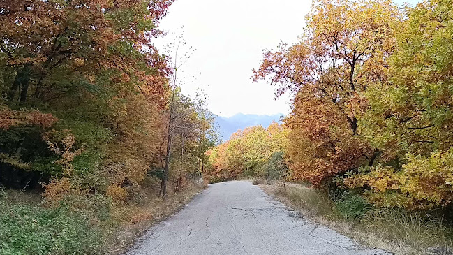ΕΚΚΛΗΣΙΑ ΑΙΚΑΤΕΡΙΝΗΣ - Λάρισα