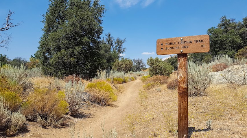 Noble Canyon Trailhead by null