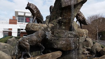 Photos of Carter-Finley Stadium
