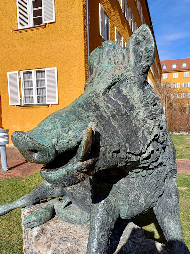 Sitzender Keiler von Martin Mayer
