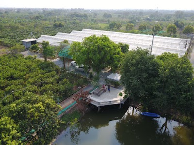 Photos of Amarak Organic Garden