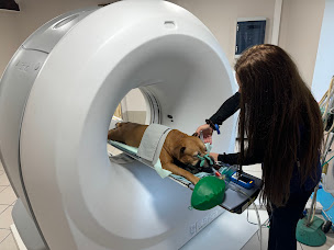 Photo n°4 de Clinique Veterinaire Des Islandais à Paimpol (Vétérinaire)