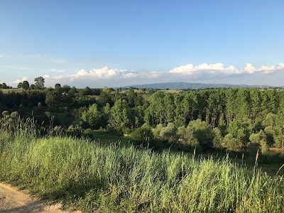 Küçükelmalı Pond