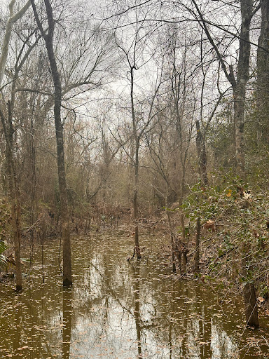 Owen Park - Thumbnail