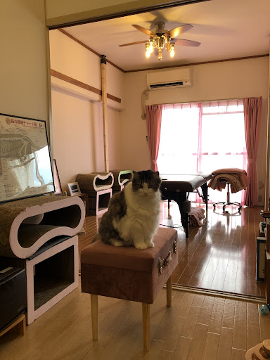 ほぐし屋おぽおぽ