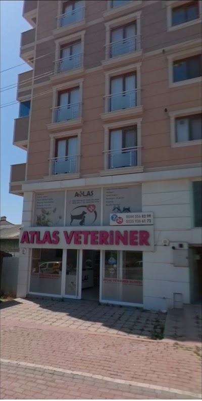 Atlas of Veterinary Clinics Gebze