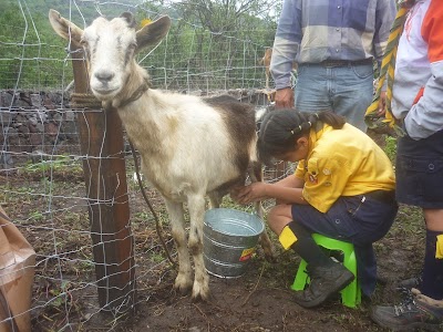 Photos of Eco - Aventura Capulines