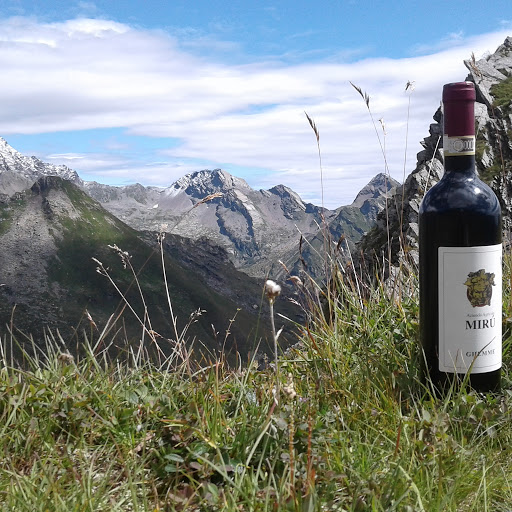 Farm Miru ' Gallery - Italy