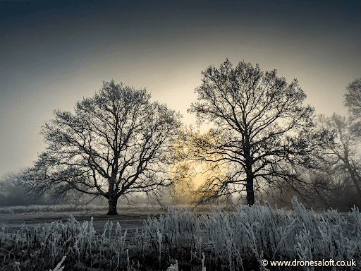 Wenny Road Meadow Gallery - United Kingdom