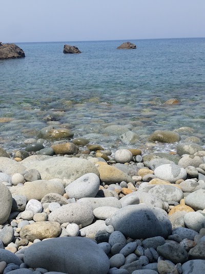 Photos of caps bougaroune