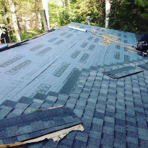 Proper Roofs - Visual