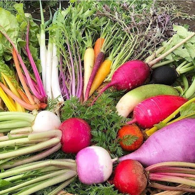 鈴也ファーム （スズナリファーム）直売所