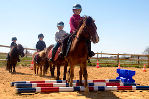 Photo n°4 de Les Écuries de La Noiraie à Neuillé (Écurie)