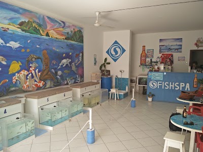 Photos of Fish Spa Sal