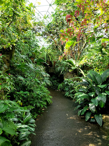 Climatron - Thumbnail