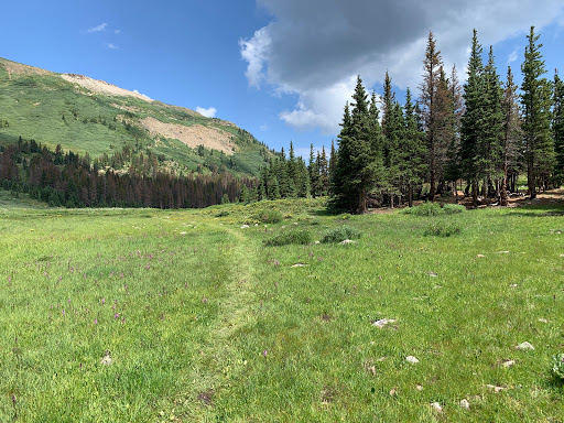 Serpent Lake Trail Head - Thumbnail